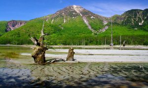 taisho pond