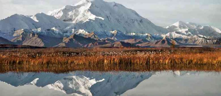 denali montagne