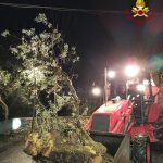 Maltempo Rieti, frane e alberi caduti a causa di pioggia e neve: automobilista illeso