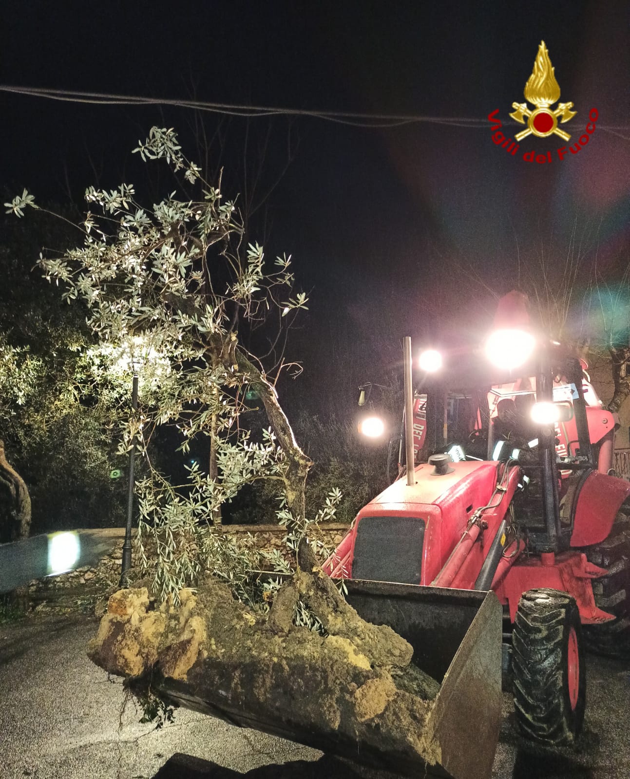 Rieti: pioggia e neve causano frane e cadute di alberi, pompieri al lavoro - Foto 2