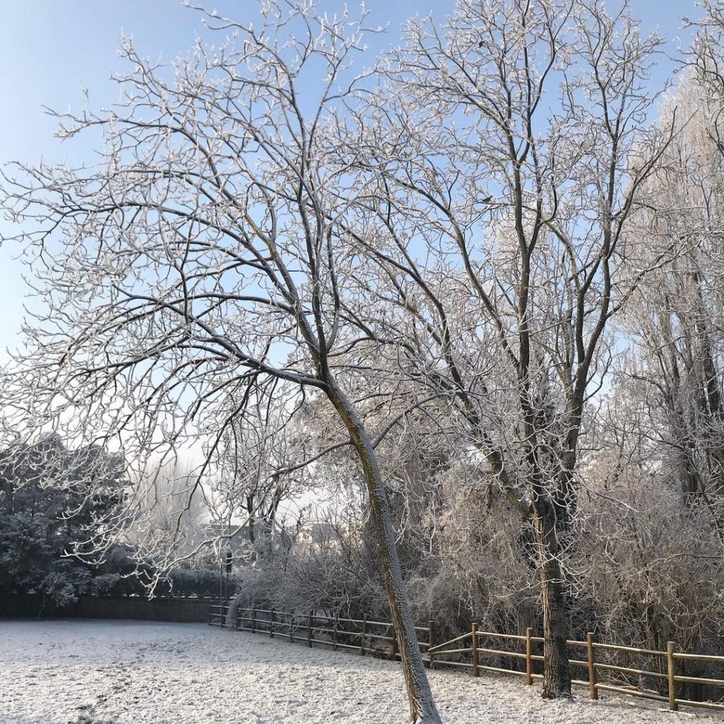 galaverna pianura padana 19 gennaio 2021