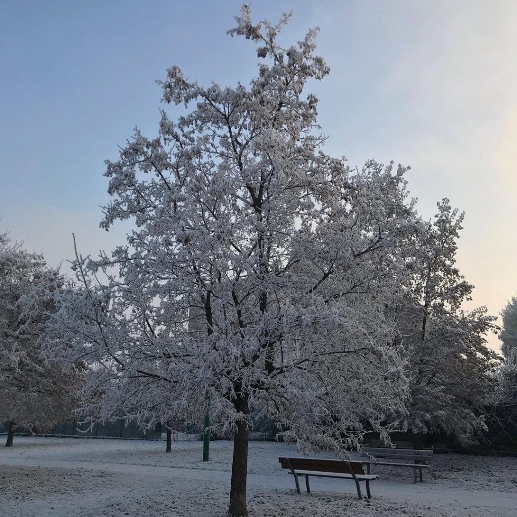 galaverna pianura padana 19 gennaio 2021