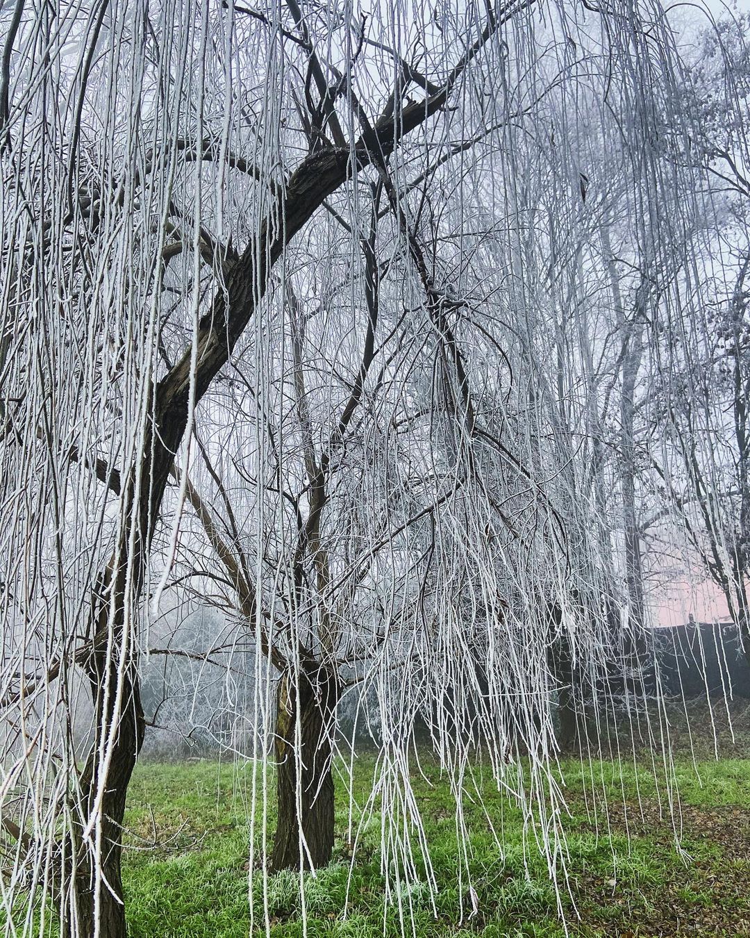 galaverna pianura padana 19 gennaio 2021