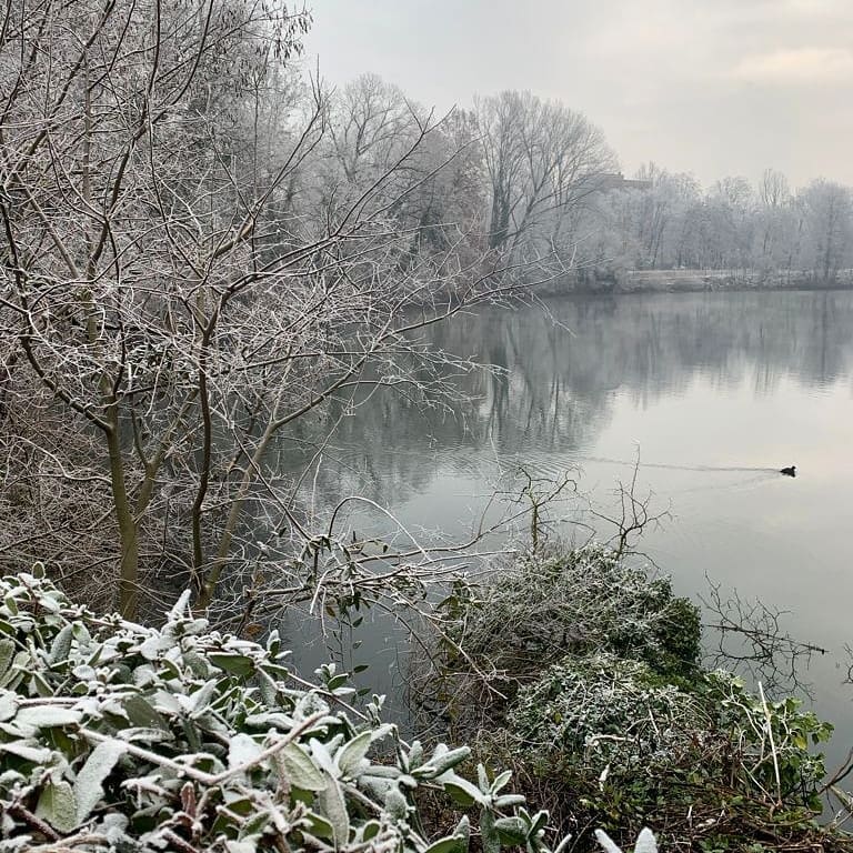 galaverna pianura padana 19 gennaio 2021