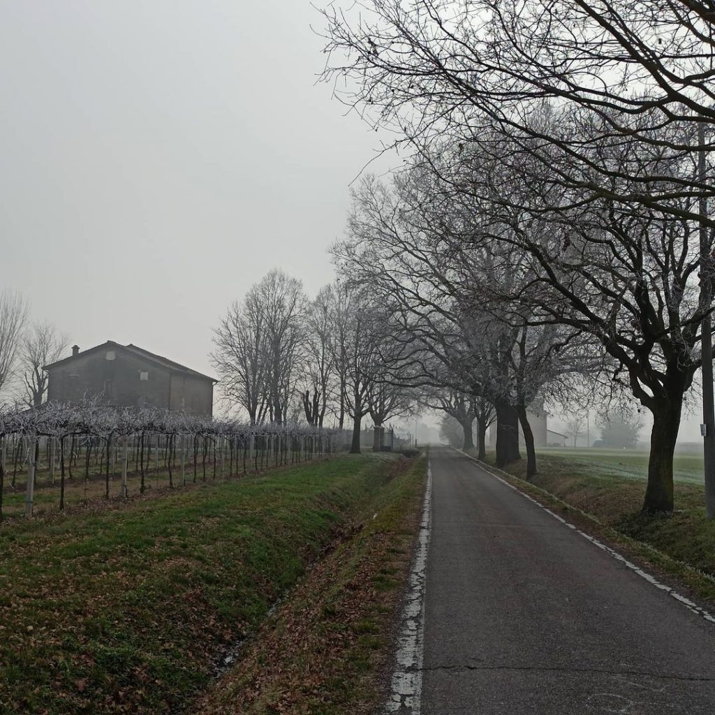 galaverna pianura padana 19 gennaio 2021