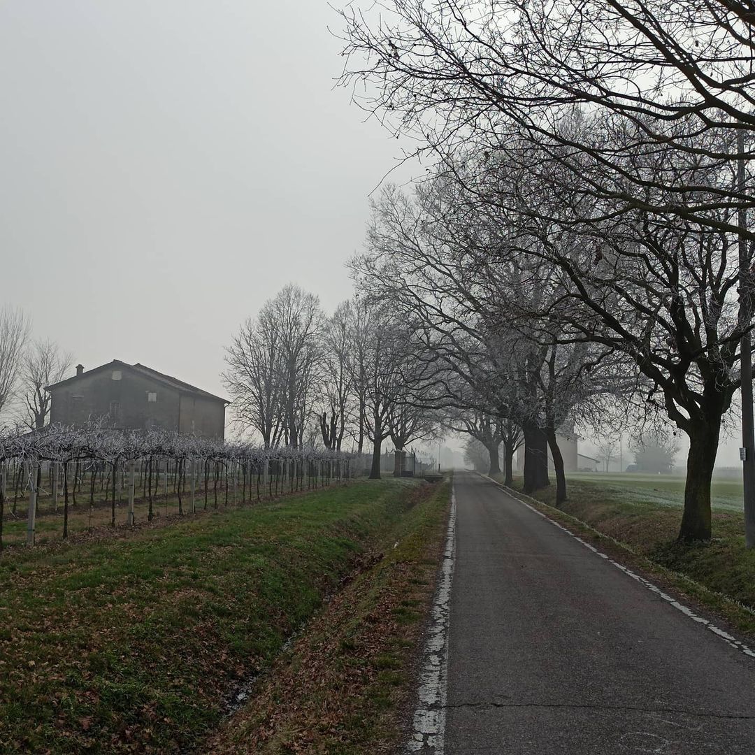 galaverna pianura padana 19 gennaio 2021