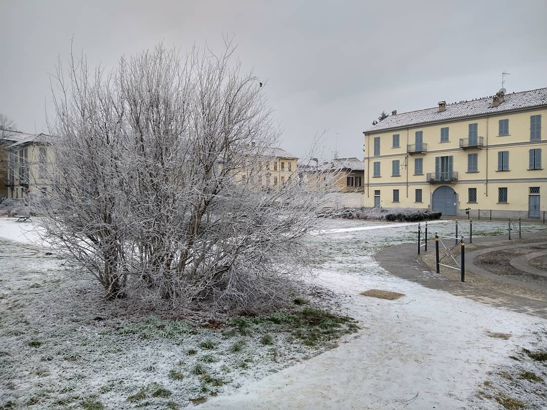 galaverna pianura padana 19 gennaio 2021