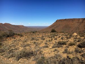 karoo