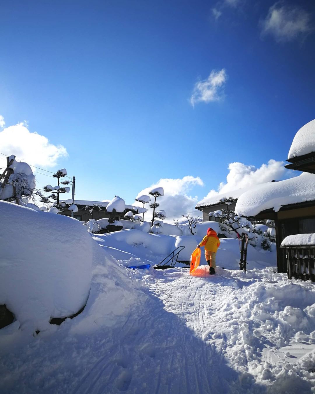 neve Giappone Toyama