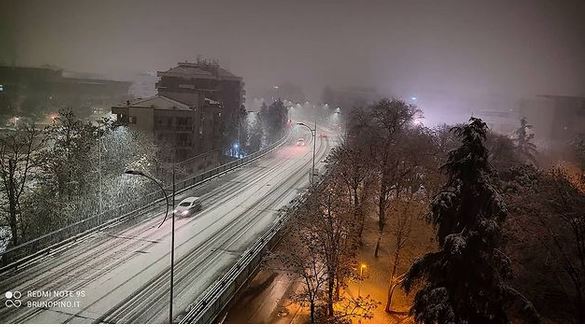 neve cosenza