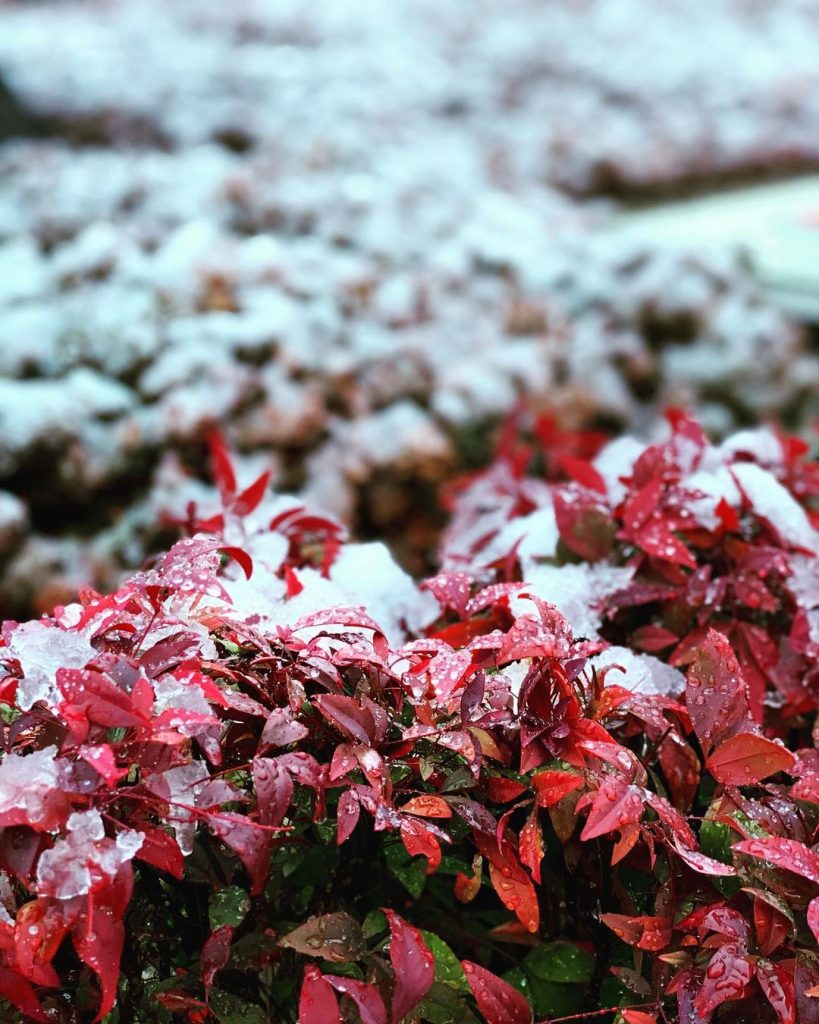 neve tokyo giappone oggi