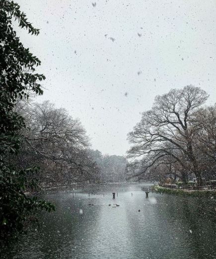 neve tokyo giappone oggi