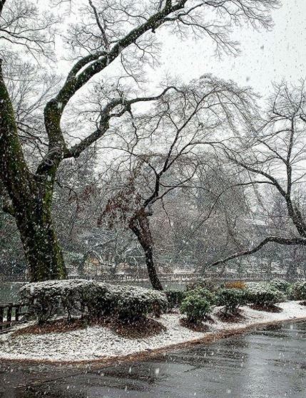 neve tokyo giappone oggi