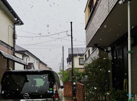 neve tokyo giappone oggi