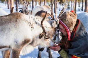 sami animismo