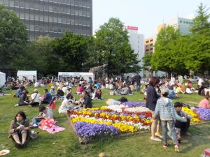 sapporo festival lillà