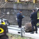 Tragedia in Valtellina: grosso masso si stacca da montagna e colpisce auto, un morto [FOTO]