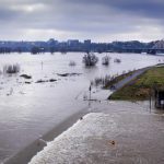 Meteo Paesi Bassi, il fiume Waal esonda a Nijmegen e c’è chi ne approfitta per divertirsi [FOTO]