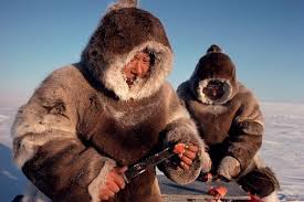 inuit caccia