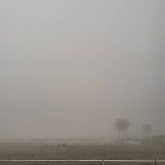 Meteo, improvvisa nebbia in Versilia: da Viareggio a Forte dei Marmi, sembra di essere in Pianura Padana [FOTO e VIDEO]