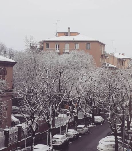 neve Bologna