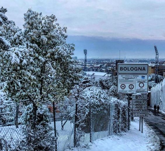 neve Bologna