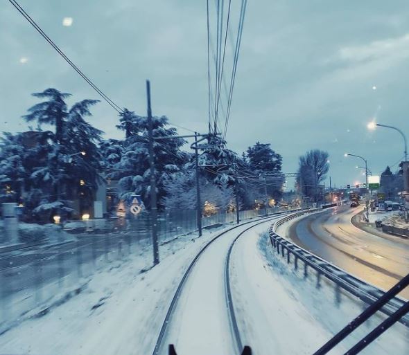 neve Bologna