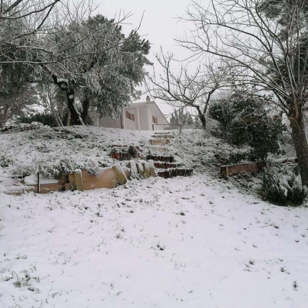 neve ancona marche