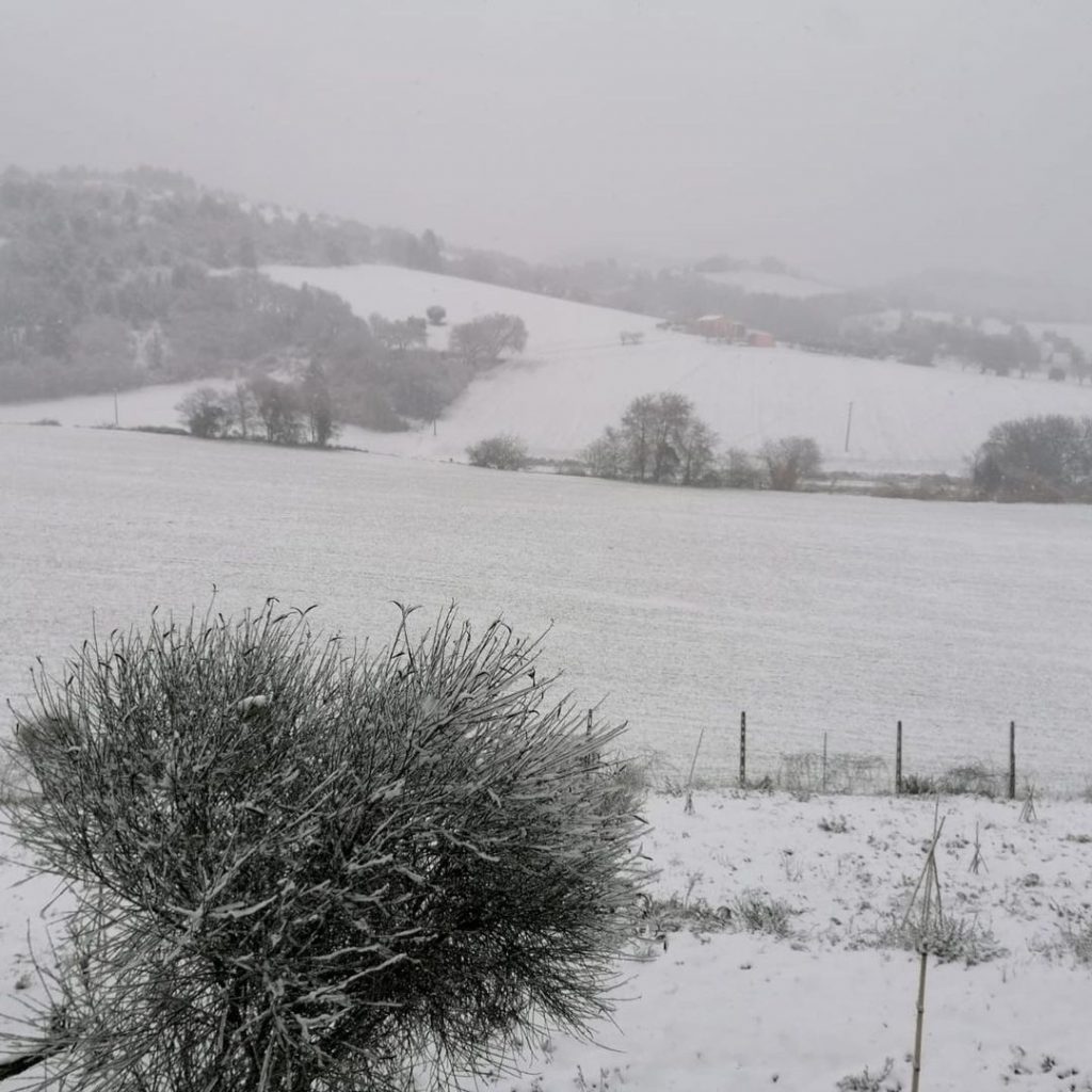 neve ancona marche