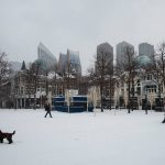 Maltempo, la tempesta Darcy porta tanta neve nel cuore dell’Europa: fino a 30cm in Germania e Paesi Bassi, trasporti nel caos [FOTO]