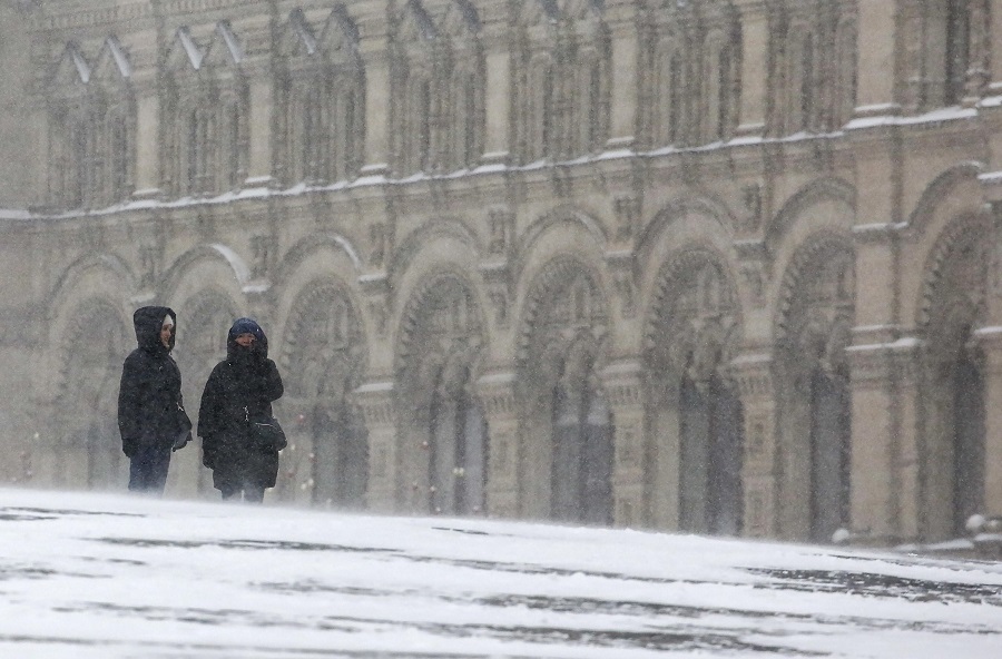 neve mosca