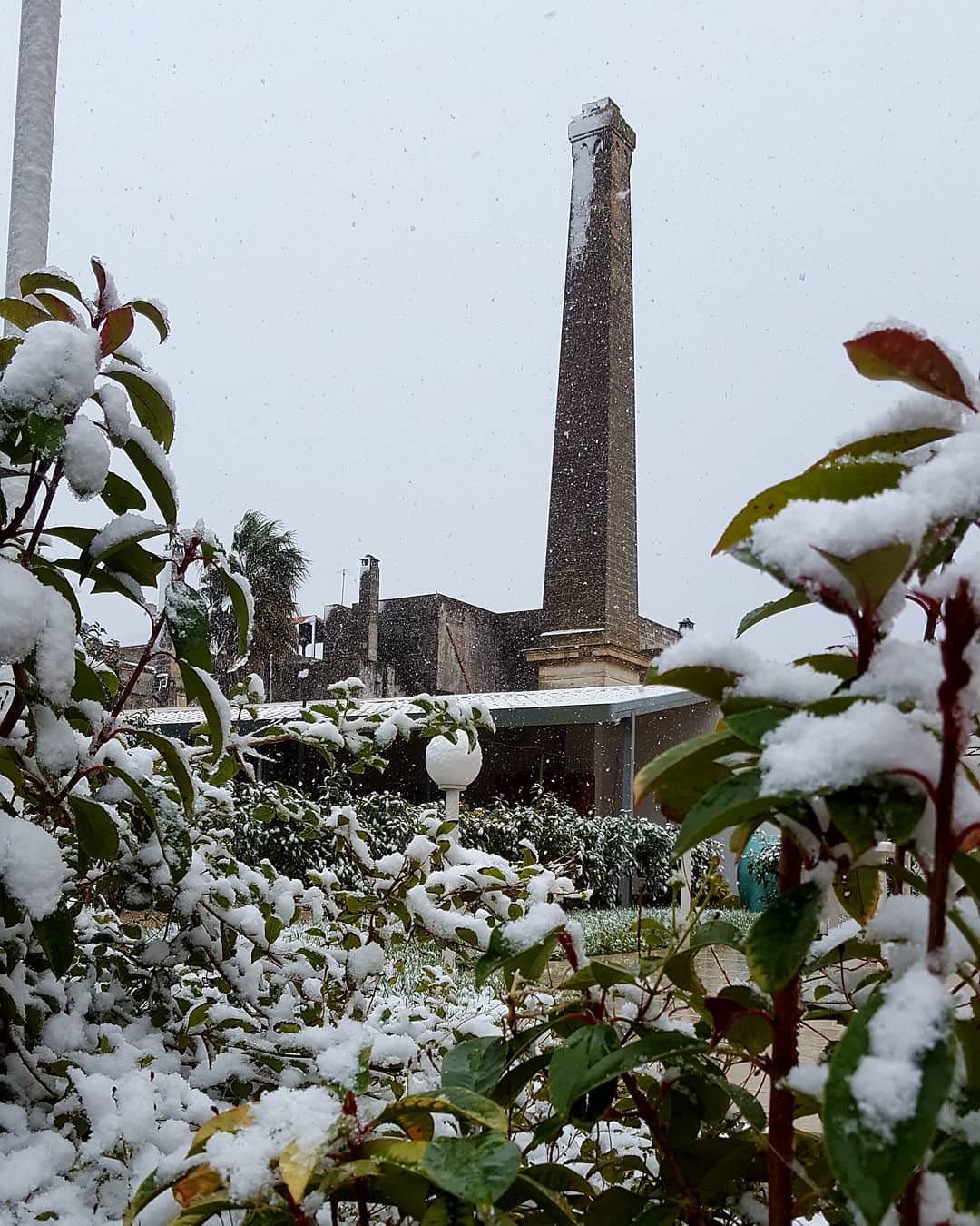 neve oggi porto cesareo