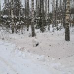 Meteo, la sabbia del Sahara raggiunge la Scandinavia: la neve si colora di giallo in Finlandia e Norvegia, cieli offuscati in Germania [FOTO]