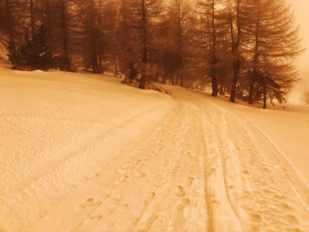 sabbia sahara sestriere