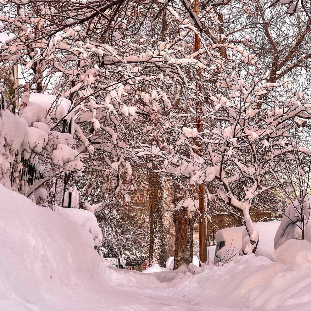 denver colorado neve blizzard 15 marzo 2021