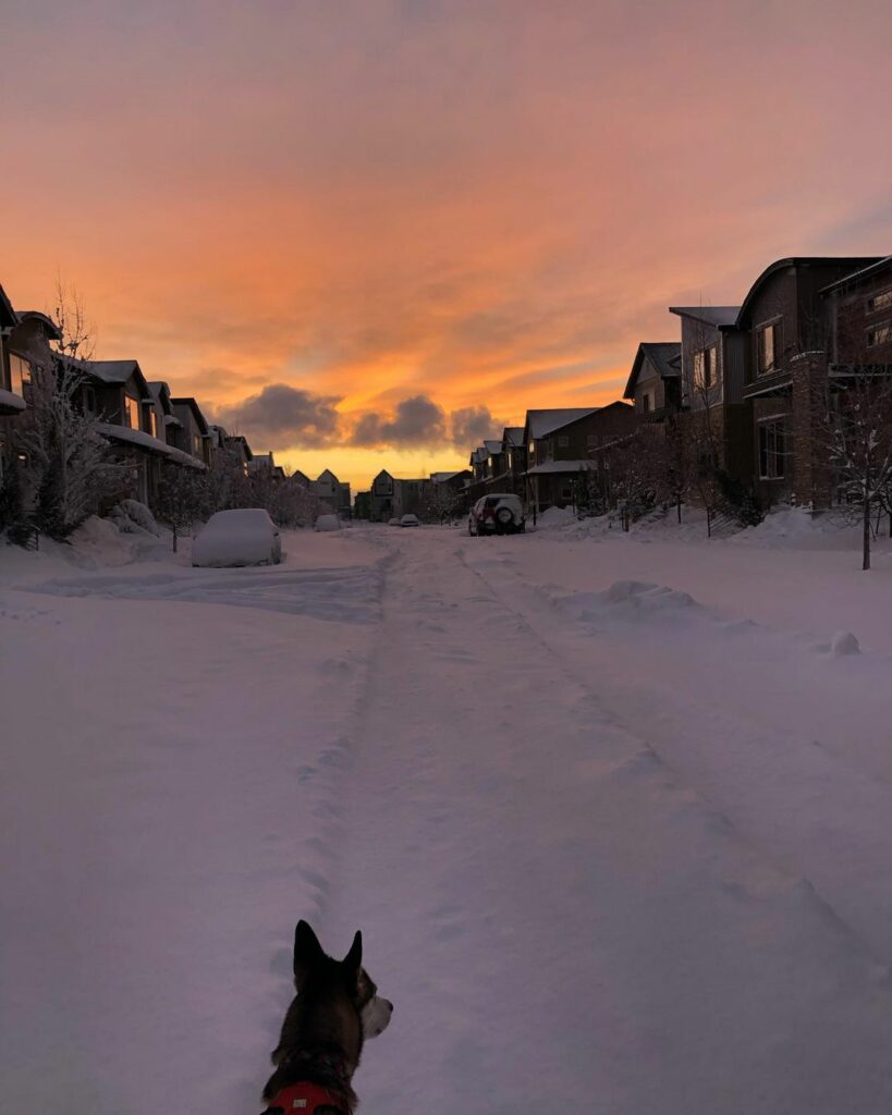 denver colorado neve blizzard 15 marzo 2021