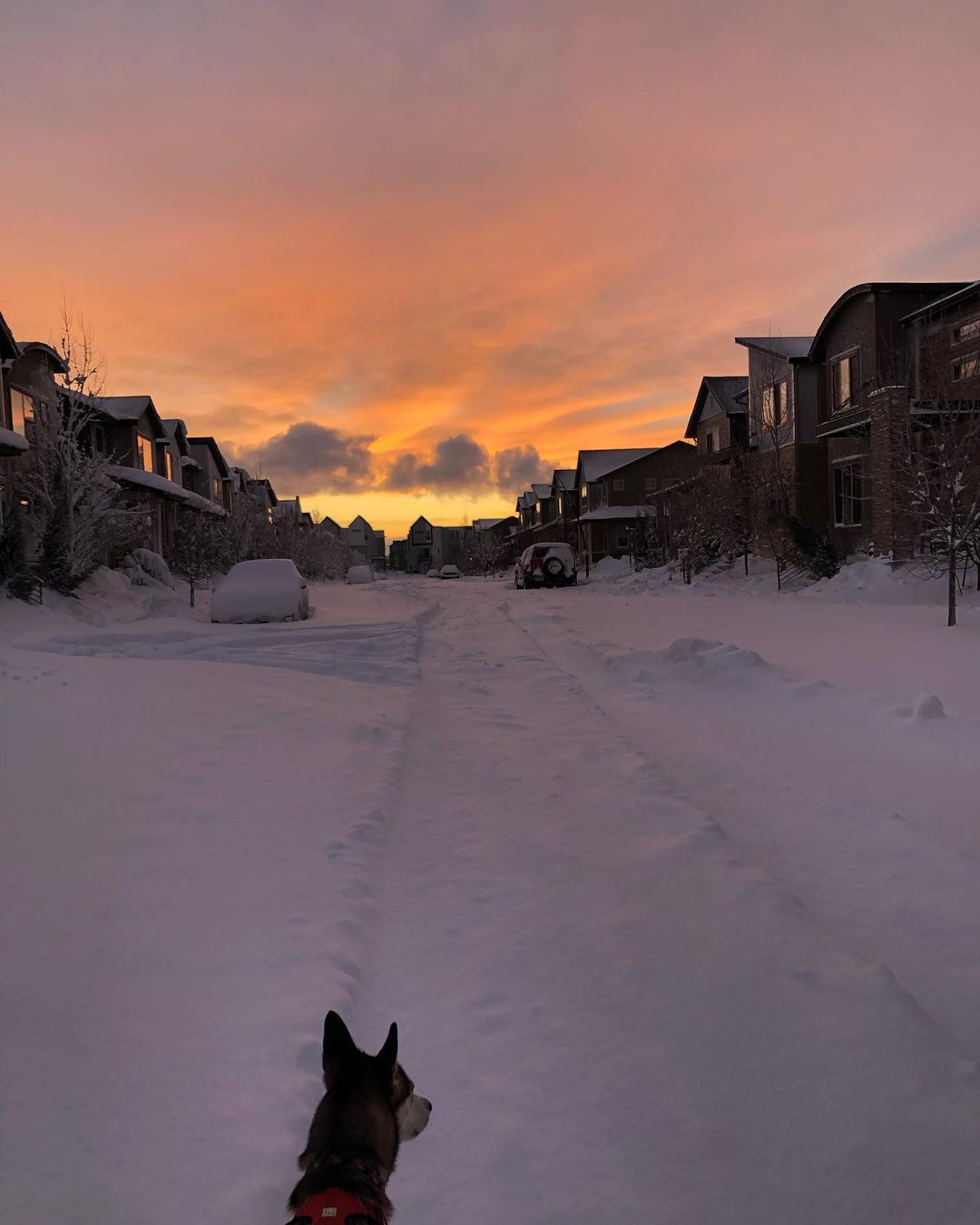 denver colorado neve blizzard 15 marzo 2021