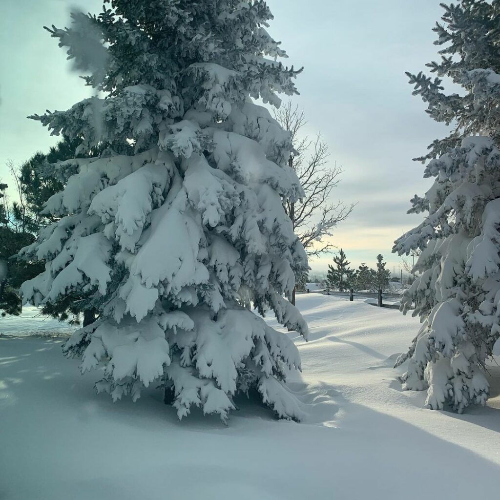 denver colorado neve blizzard 15 marzo 2021