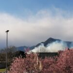 Fiamme nei boschi del Monte Musinè, alimentate dal forte vento: 2° incendio in pochi giorni nel Torinese [FOTO]