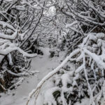 Maltempo, ondata di freddo al Sud: neve in collina in Campania e Puglia, imbiancato il Vesuvio [FOTO e VIDEO]