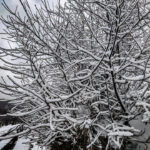 Maltempo, ondata di freddo al Sud: neve in collina in Campania e Puglia, imbiancato il Vesuvio [FOTO e VIDEO]