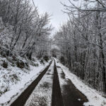 Maltempo, ondata di freddo al Sud: neve in collina in Campania e Puglia, imbiancato il Vesuvio [FOTO e VIDEO]