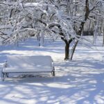 Meteo, ondata di freddo in Romania: -4°C a Bucarest, imbiancata dalla neve [FOTO]