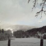 Maltempo Calabria, pioggia e forte vento sferzano la regione: torna la neve in Sila [FOTO e VIDEO]