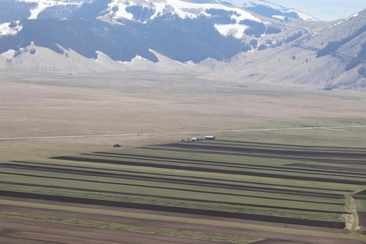 Semina della lenticchia a Castelluccio di Norcia