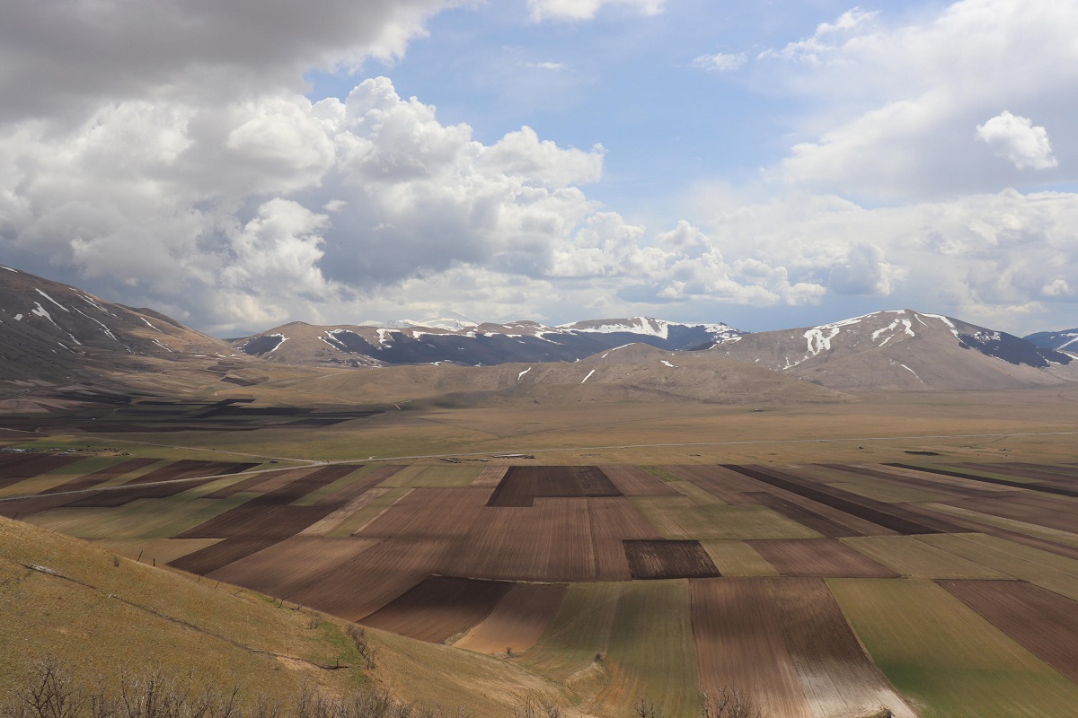 Semina della lenticchia a Castelluccio di Norcia