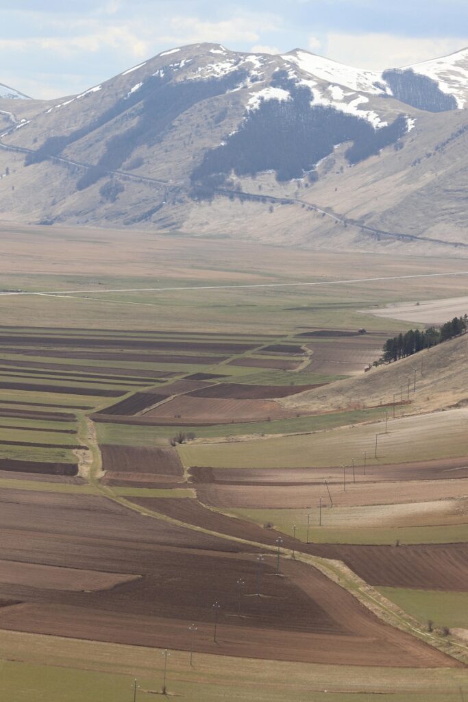 Semina della lenticchia a Castelluccio di Norcia