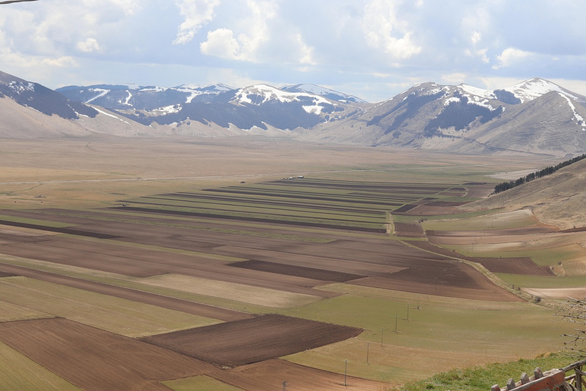 Semina della lenticchia a Castelluccio di Norcia