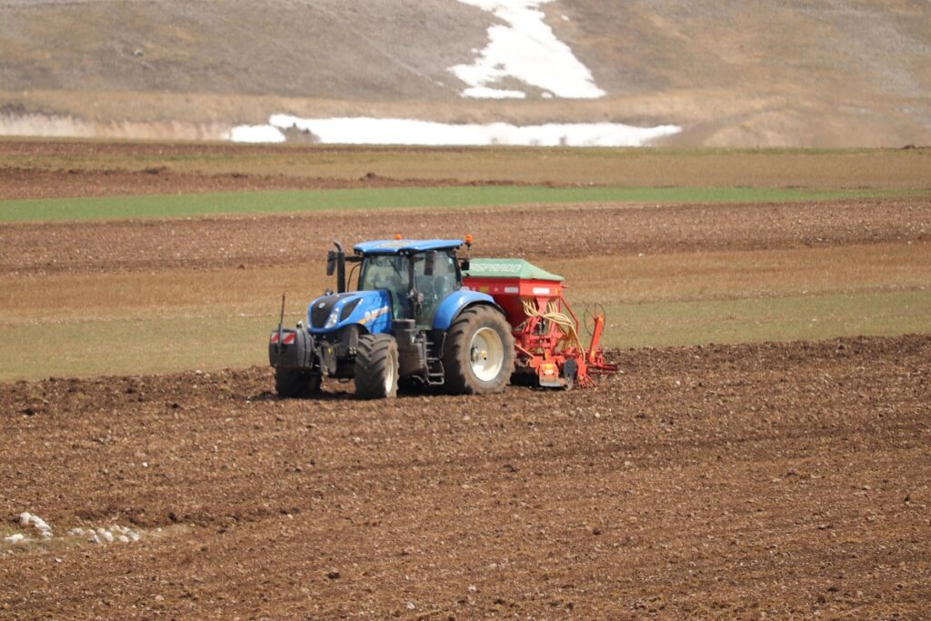 Semina della lenticchia a Castelluccio di Norcia