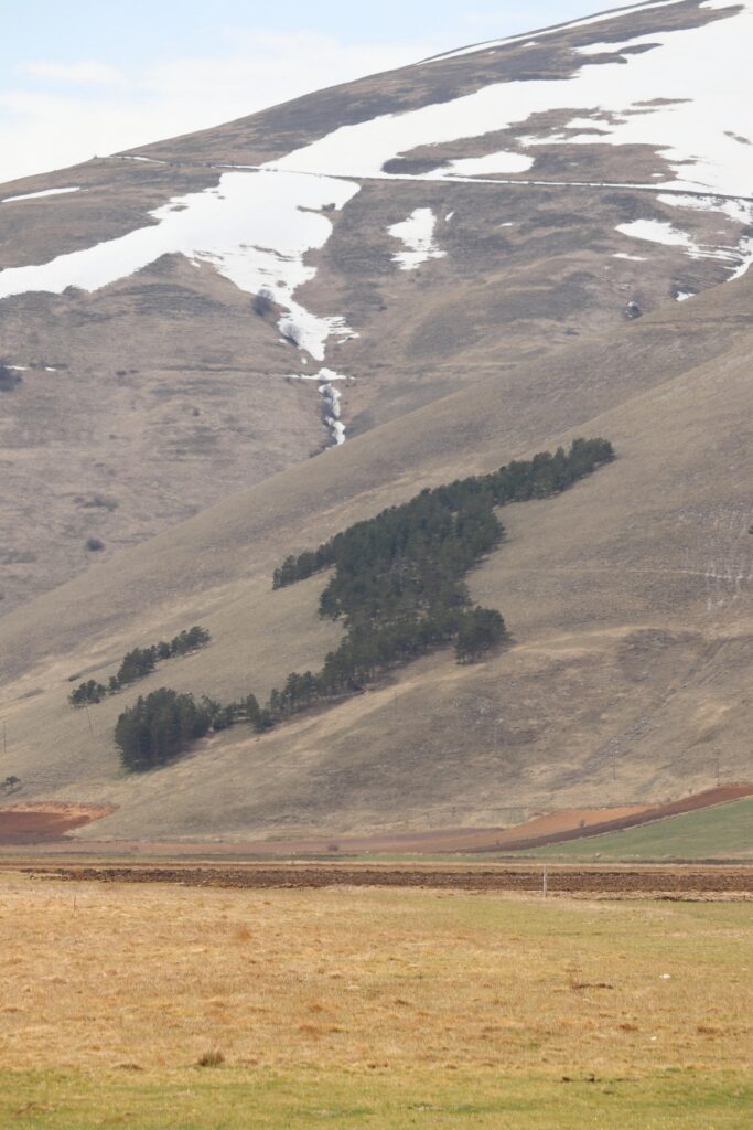 Semina della lenticchia a Castelluccio di Norcia